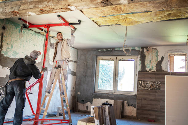 Best Insulation Installation Services in Edisto, SC